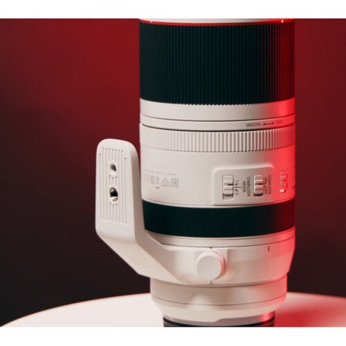 1753200983_IMG_2538298 Canon RF 100-500mm f/4.5-7.1 L IS USM Lens (New)